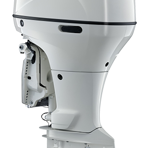 Home import placeholder for 362